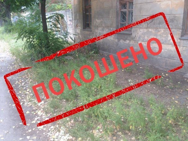 Борьба с амброзией: ИТОГИ Борьба с амброзией: ИТОГИ