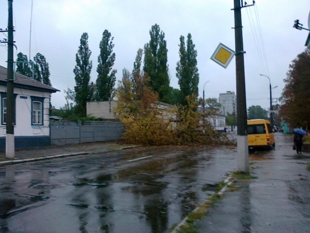 Непогода в Кременчуге: падают деревья, рвутся провода Непогода в Кременчуге: падают деревья, рвутся провода