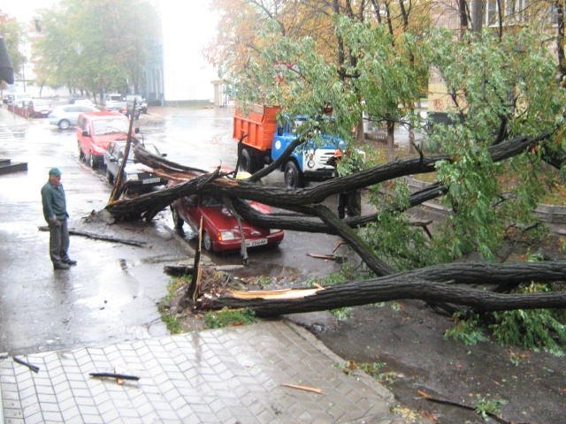 В центре города упавшая акация придавила "Славуту" В центре города упавшая акация придавила "Славуту"