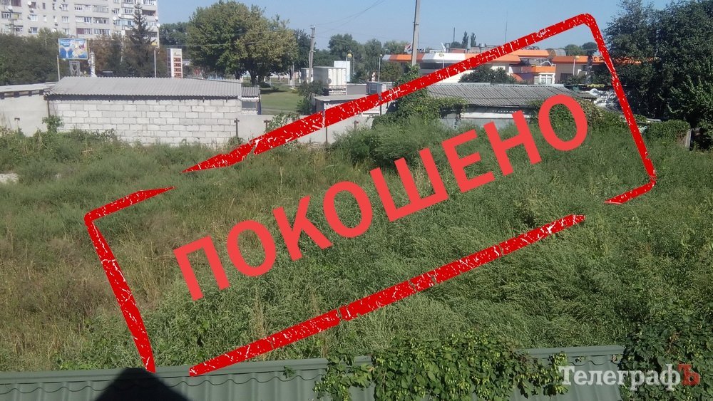 Борьба с амброзией: ИТОГИ Борьба с амброзией: ИТОГИ