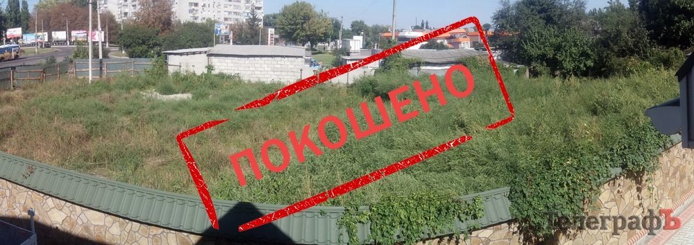 Борьба с амброзией: ИТОГИ Борьба с амброзией: ИТОГИ