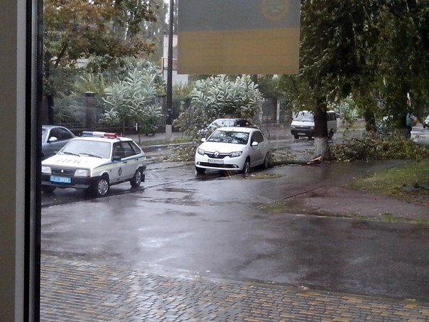 Непогода в Кременчуге 24 сентября - как минимум три машины привалило деревьями Непогода в Кременчуге 24 сентября - как минимум три машины привалило деревьями