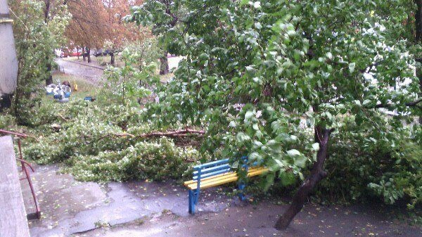 Непогода в Кременчуге 24 сентября - как минимум три машины привалило деревьями Непогода в Кременчуге 24 сентября - как минимум три машины привалило деревьями