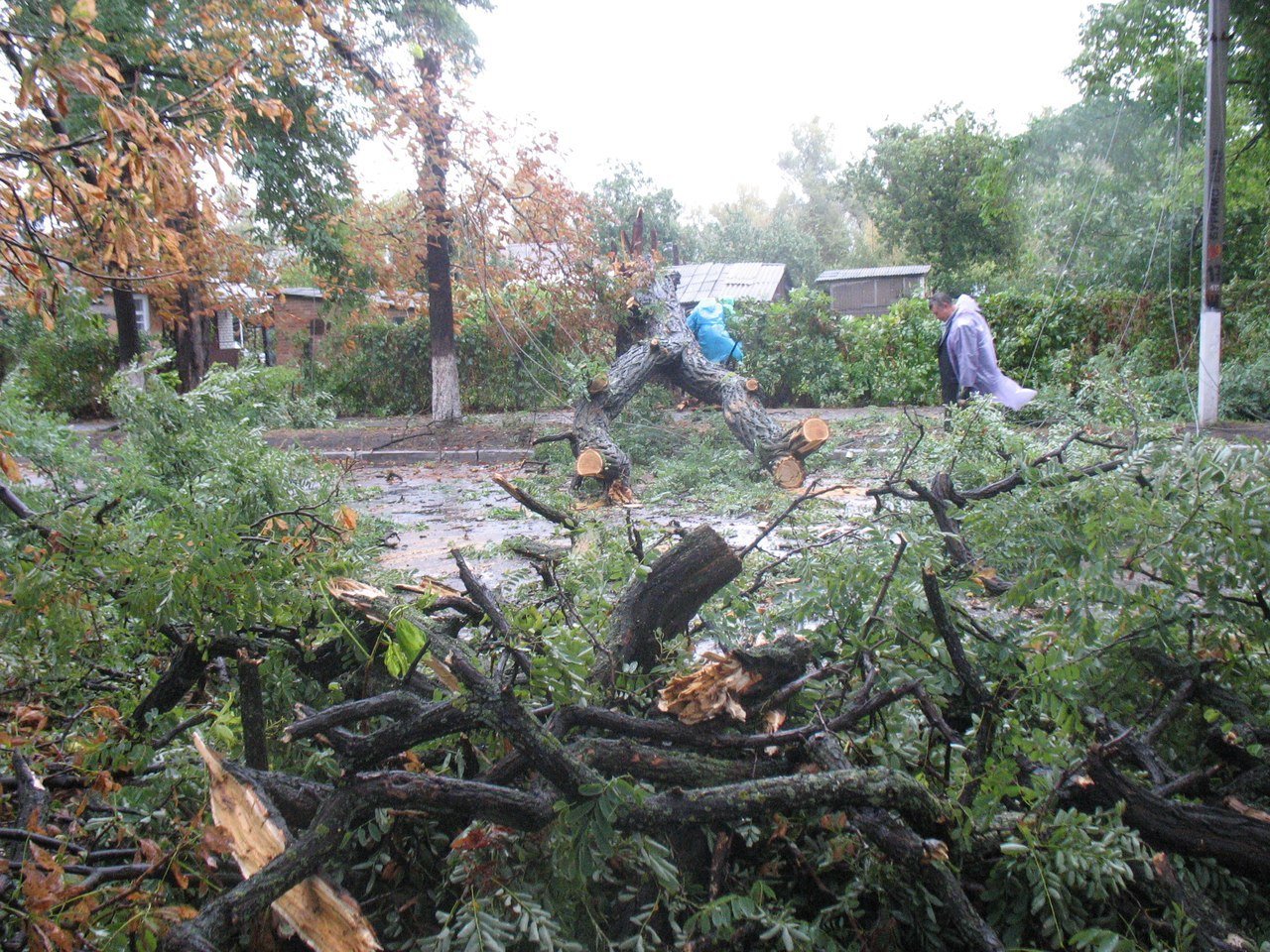 Непогода в Кременчуге 24 сентября - как минимум три машины привалило деревьями Непогода в Кременчуге 24 сентября - как минимум три машины привалило деревьями