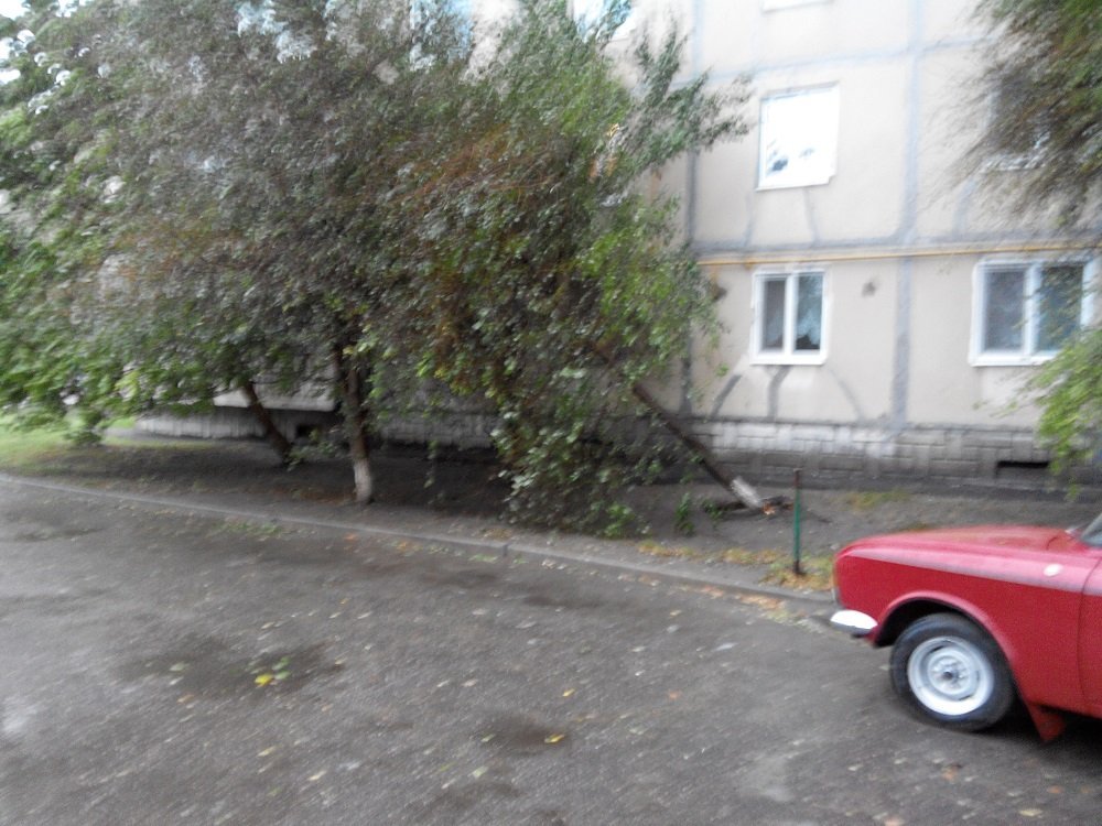 Непогода в Кременчуге 24 сентября - как минимум три машины привалило деревьями Непогода в Кременчуге 24 сентября - как минимум три машины привалило деревьями