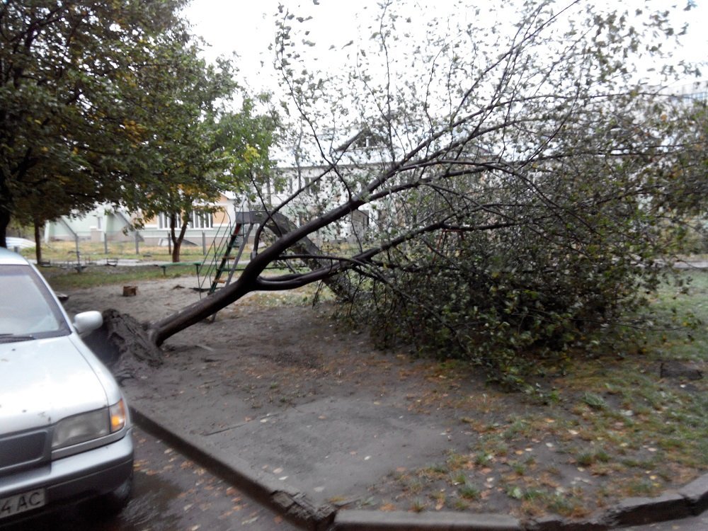Непогода в Кременчуге 24 сентября - как минимум три машины привалило деревьями Непогода в Кременчуге 24 сентября - как минимум три машины привалило деревьями