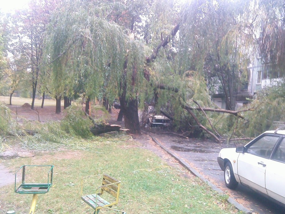 Непогода в Кременчуге 24 сентября - как минимум три машины привалило деревьями Непогода в Кременчуге 24 сентября - как минимум три машины привалило деревьями