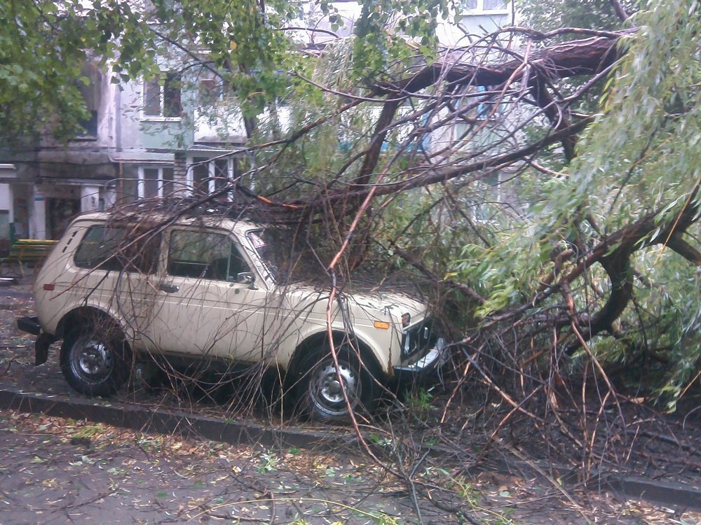 Непогода в Кременчуге 24 сентября - как минимум три машины привалило деревьями Непогода в Кременчуге 24 сентября - как минимум три машины привалило деревьями