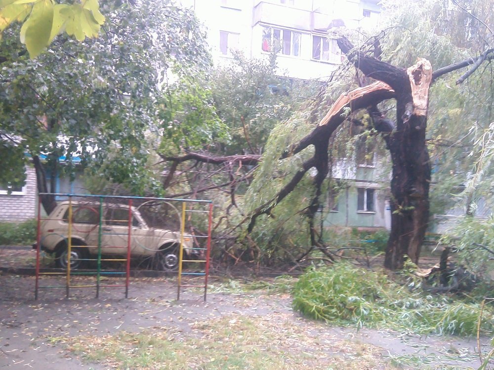 Непогода в Кременчуге 24 сентября - как минимум три машины привалило деревьями Непогода в Кременчуге 24 сентября - как минимум три машины привалило деревьями