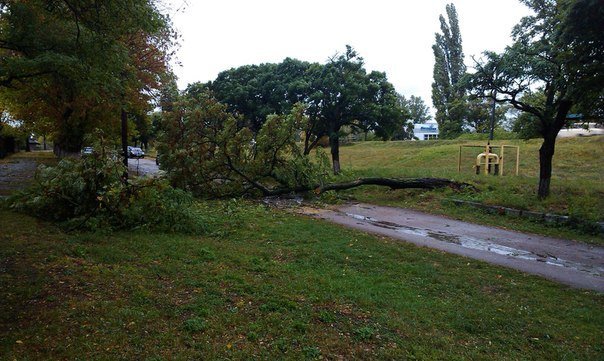 Непогода в Кременчуге 24 сентября - как минимум три машины привалило деревьями Непогода в Кременчуге 24 сентября - как минимум три машины привалило деревьями