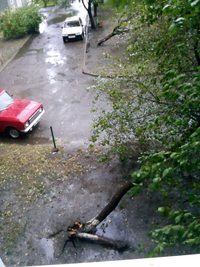 Непогода в Кременчуге 24 сентября - как минимум три машины привалило деревьями Непогода в Кременчуге 24 сентября - как минимум три машины привалило деревьями