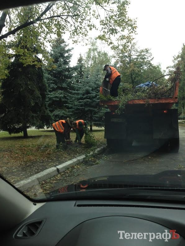 Непогода в Кременчуге 24 сентября - как минимум три машины привалило деревьями Непогода в Кременчуге 24 сентября - как минимум три машины привалило деревьями