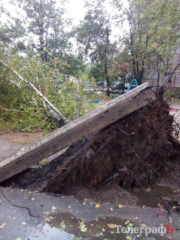 Непогода в Кременчуге 24 сентября - как минимум три машины привалило деревьями Непогода в Кременчуге 24 сентября - как минимум три машины привалило деревьями