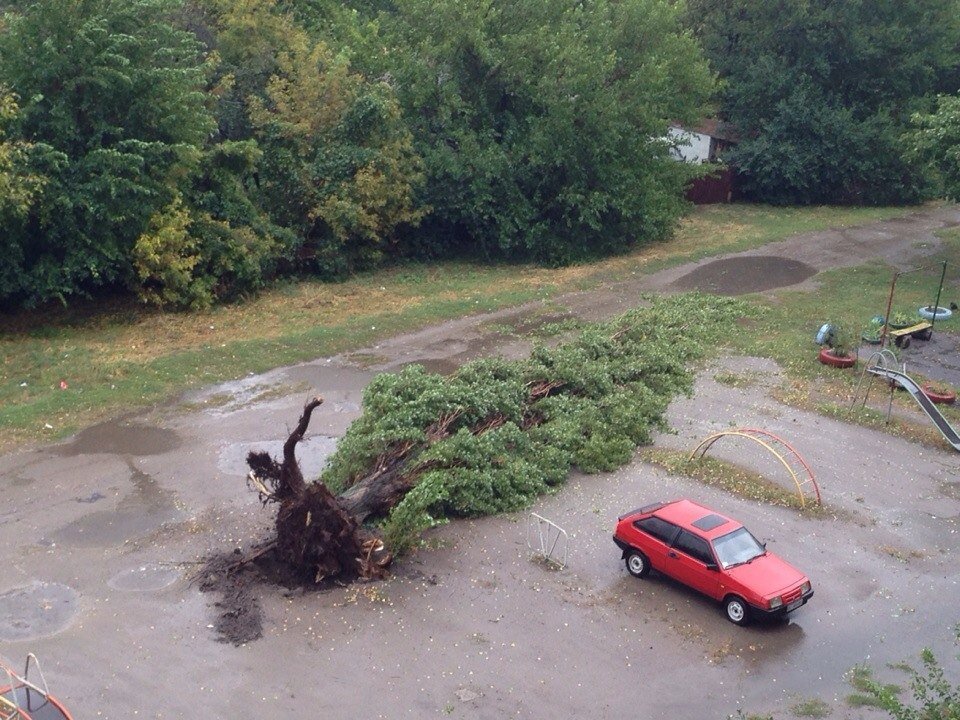 Непогода в Кременчуге 24 сентября - как минимум три машины привалило деревьями Непогода в Кременчуге 24 сентября - как минимум три машины привалило деревьями