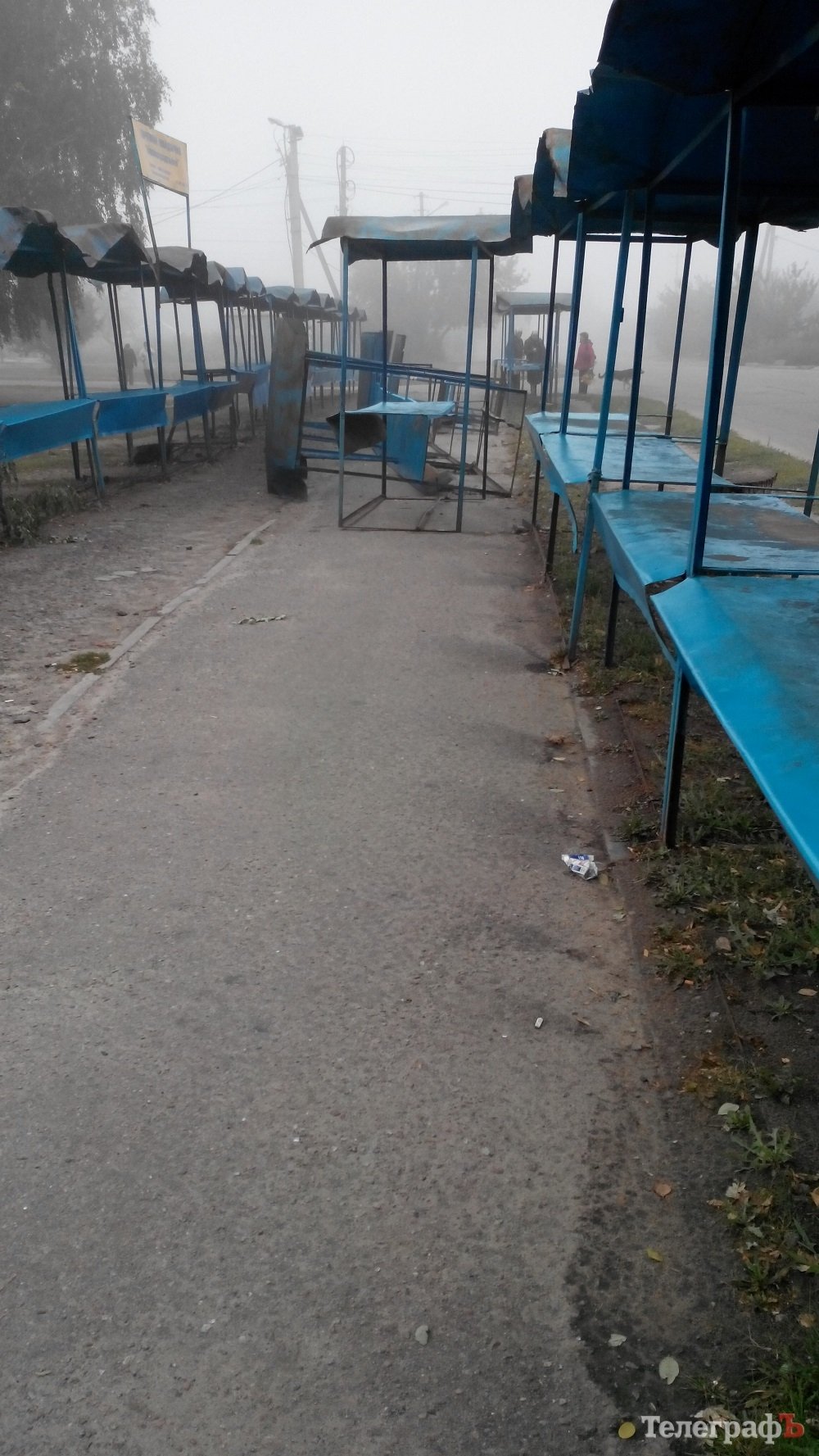 Непогода в Кременчуге 24 сентября - как минимум три машины привалило деревьями Непогода в Кременчуге 24 сентября - как минимум три машины привалило деревьями