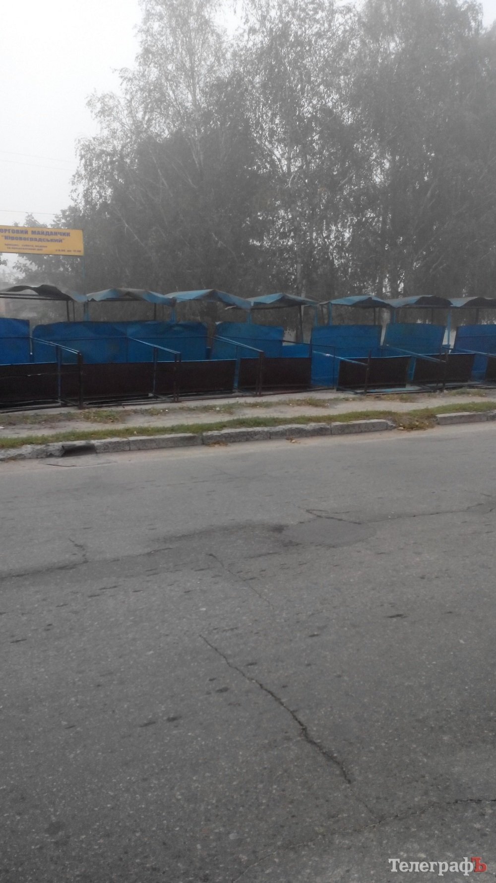 Непогода в Кременчуге 24 сентября - как минимум три машины привалило деревьями Непогода в Кременчуге 24 сентября - как минимум три машины привалило деревьями