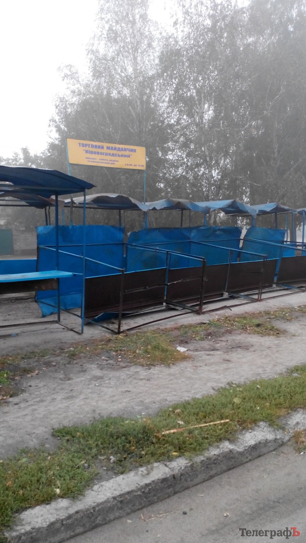 Непогода в Кременчуге 24 сентября - как минимум три машины привалило деревьями Непогода в Кременчуге 24 сентября - как минимум три машины привалило деревьями