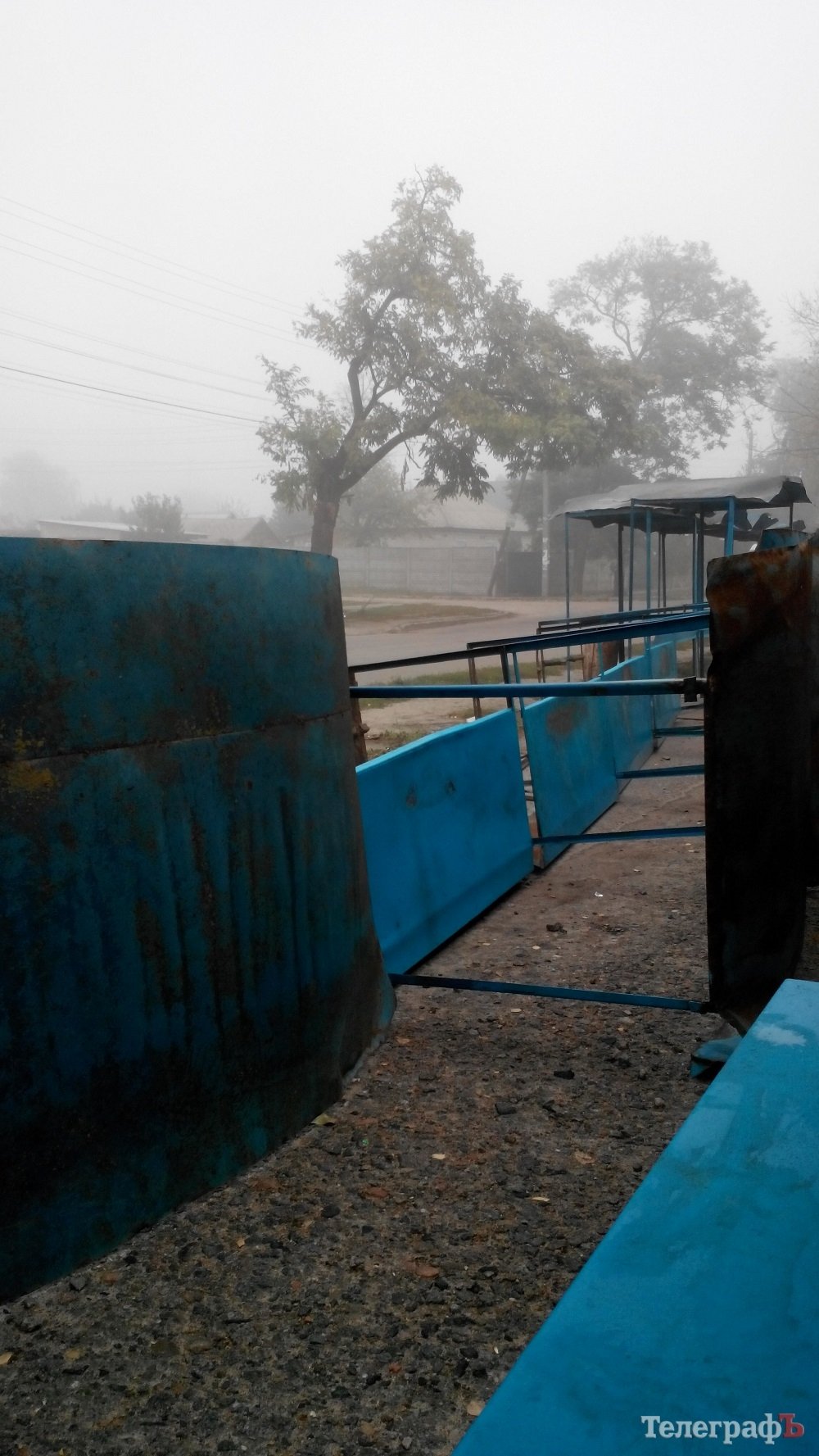 Непогода в Кременчуге 24 сентября - как минимум три машины привалило деревьями Непогода в Кременчуге 24 сентября - как минимум три машины привалило деревьями