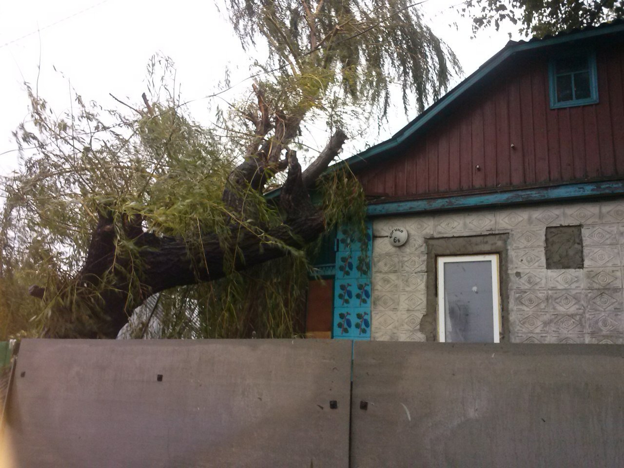 Непогода в Кременчуге 24 сентября - как минимум три машины привалило деревьями Непогода в Кременчуге 24 сентября - как минимум три машины привалило деревьями