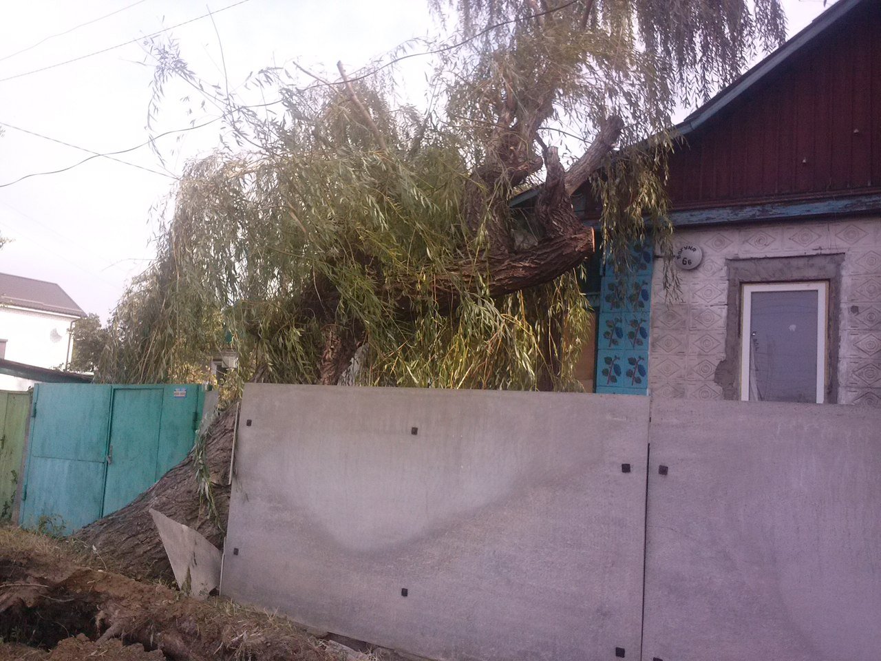 Непогода в Кременчуге 24 сентября - как минимум три машины привалило деревьями Непогода в Кременчуге 24 сентября - как минимум три машины привалило деревьями