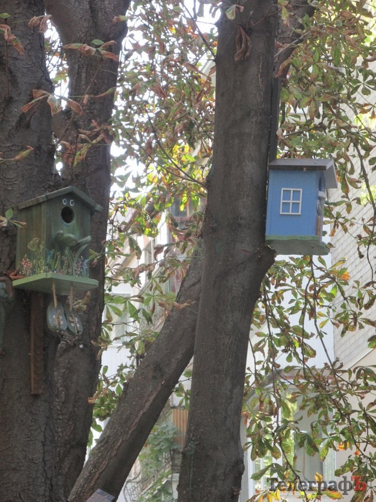 КРАЩИЙ ФАСАД серед магазинів, ресторанів та у сфері послуг КРАЩИЙ ФАСАД серед магазинів, ресторанів та у сфері послуг