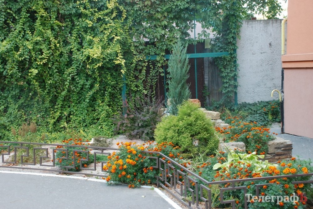 КРАЩИЙ ФАСАД серед магазинів, ресторанів та у сфері послуг КРАЩИЙ ФАСАД серед магазинів, ресторанів та у сфері послуг