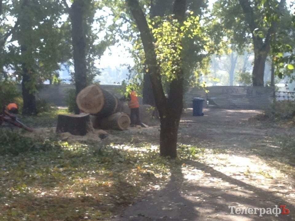 В Городском саду коммунальники второй день борются с аварийным тополем В Городском саду коммунальники второй день борются с аварийным тополем