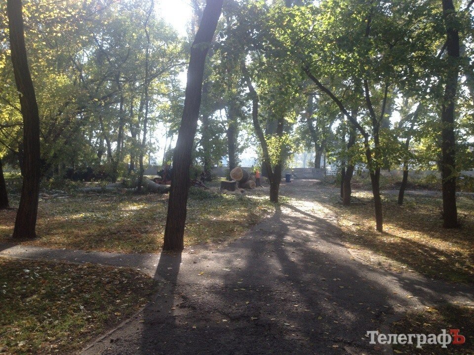 В Городском саду коммунальники второй день борются с аварийным тополем В Городском саду коммунальники второй день борются с аварийным тополем