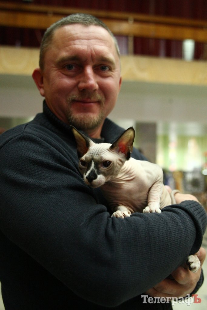 Пушистые и когтистые: выставка элитных кошек в Кременчуге Пушистые и когтистые: выставка элитных кошек в Кременчуге