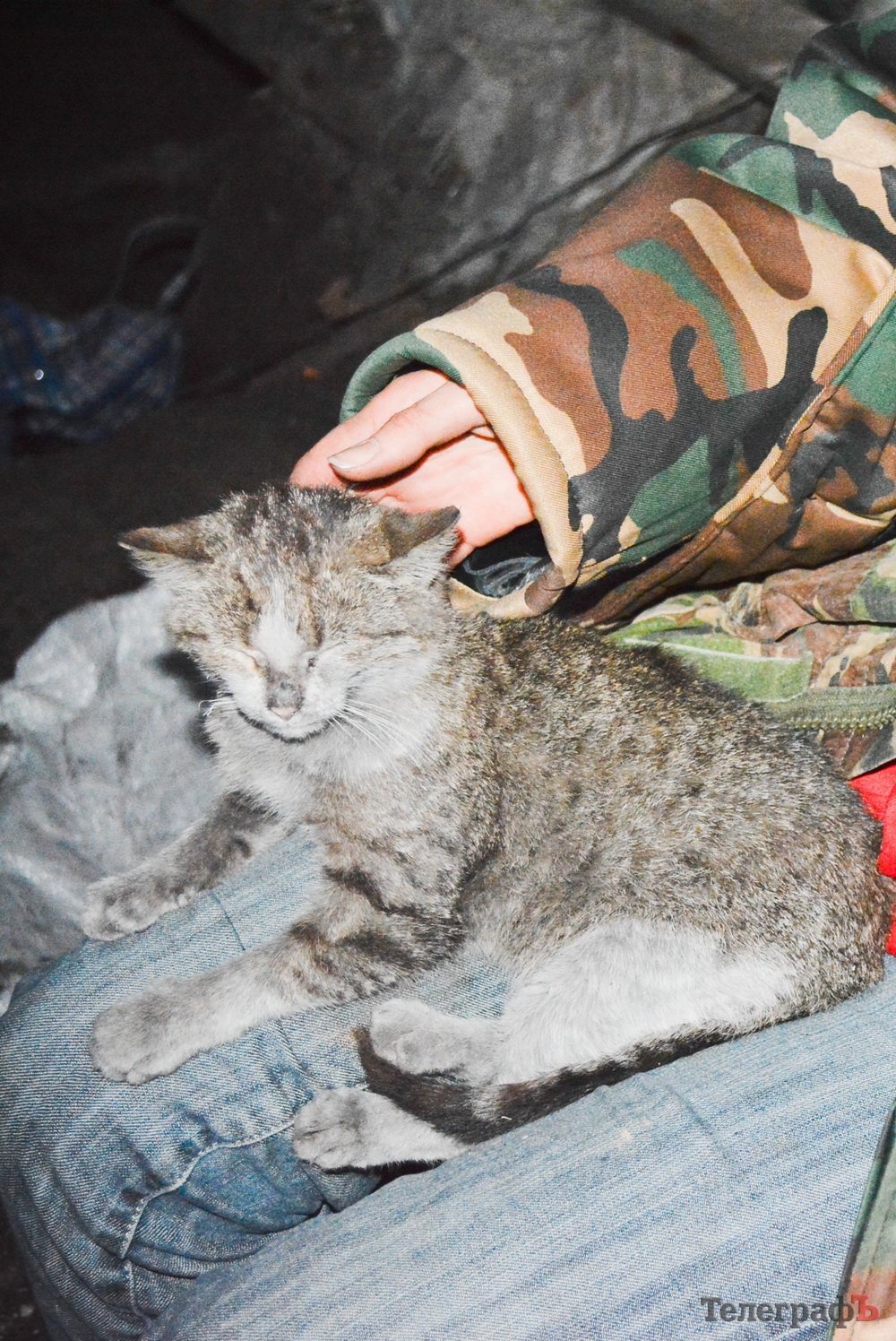 Кіборги просили у кременчужан хліба і води - волонтери привезли і потрапили під обстріл Кіборги просили у кременчужан хліба і води - волонтери привезли і потрапили під обстріл