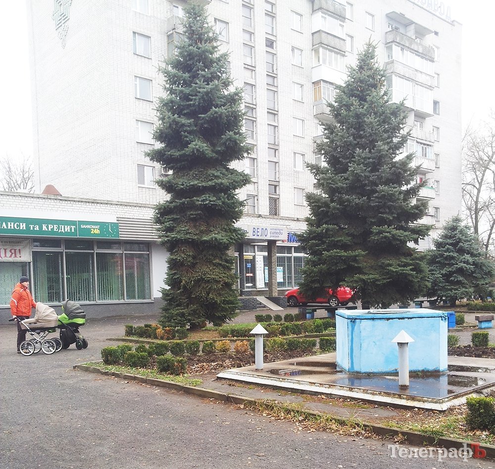 Жители "подмоста" просят ёлку Жители "подмоста" просят ёлку