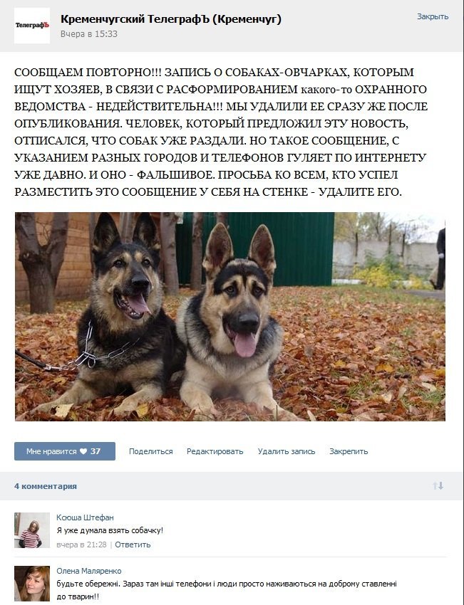 Кременчужане спасают "мифических" овчарок Кременчужане спасают "мифических" овчарок