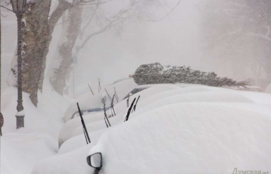 В Кременчуг снова идет метель: какой будет погода в новогоднюю ночь В Кременчуг снова идет метель: какой будет погода в новогоднюю ночь
