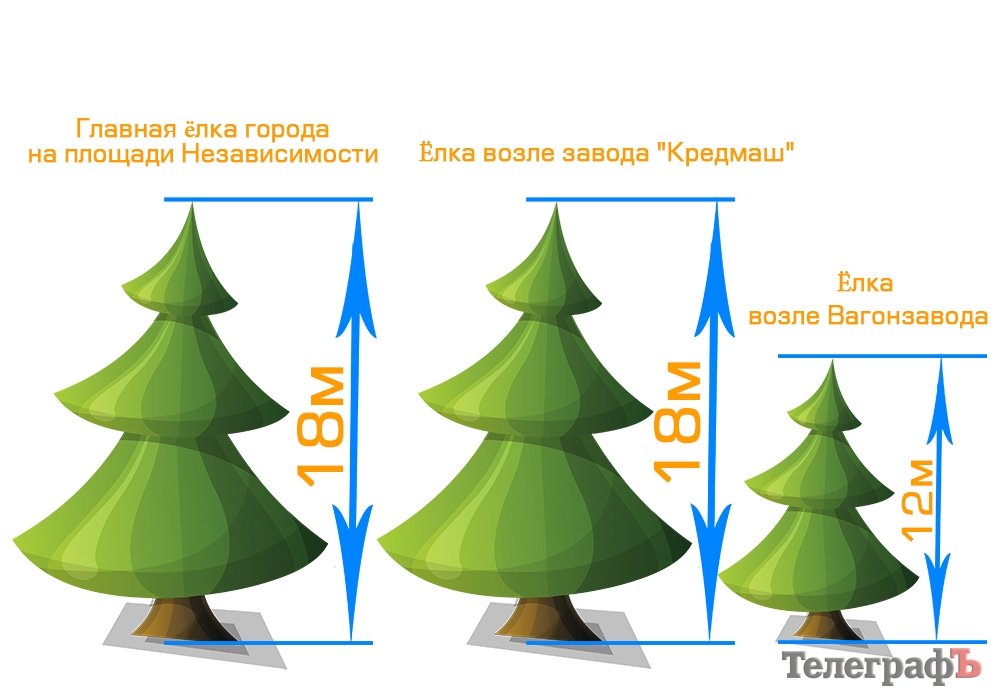 Самые высокие ёлки Кременчуга Самые высокие ёлки Кременчуга