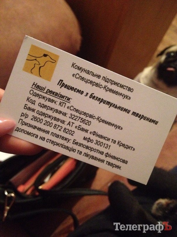 БЛОГ: Итоги нашего рождественского похода в приют к собачкам БЛОГ: Итоги нашего рождественского похода в приют к собачкам