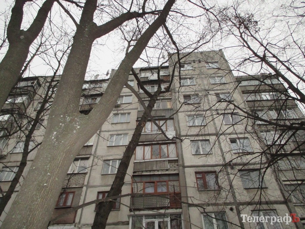 В Кременчуге на День Святого Валентина пожарные снимали котика В Кременчуге на День Святого Валентина пожарные снимали котика