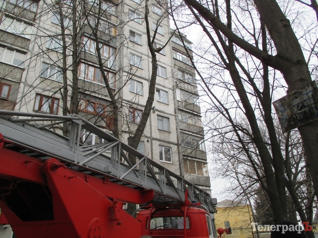 В Кременчуге на День Святого Валентина пожарные снимали котика В Кременчуге на День Святого Валентина пожарные снимали котика