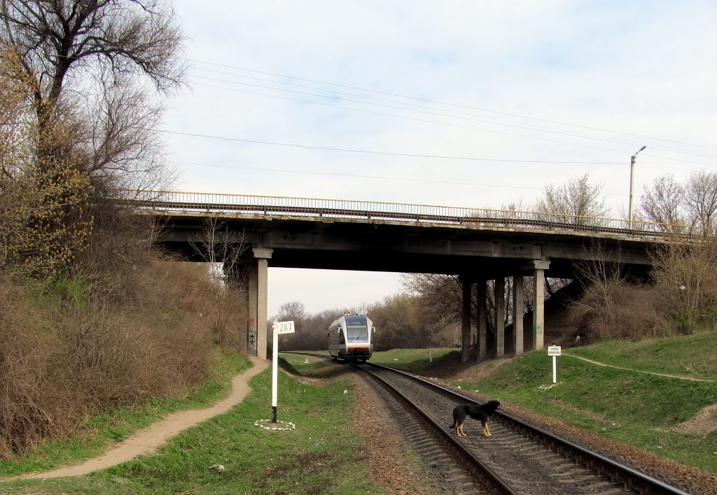 В Кременчуге 19-летняя девушка бросилась с моста В Кременчуге 19-летняя девушка бросилась с моста