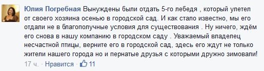 В кременчугский "Горсад" вернулись лебеди В кременчугский "Горсад" вернулись лебеди