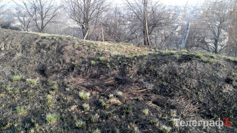 Кременчугский лесхоз потушил пожар на Деевской горе Кременчугский лесхоз потушил пожар на Деевской горе