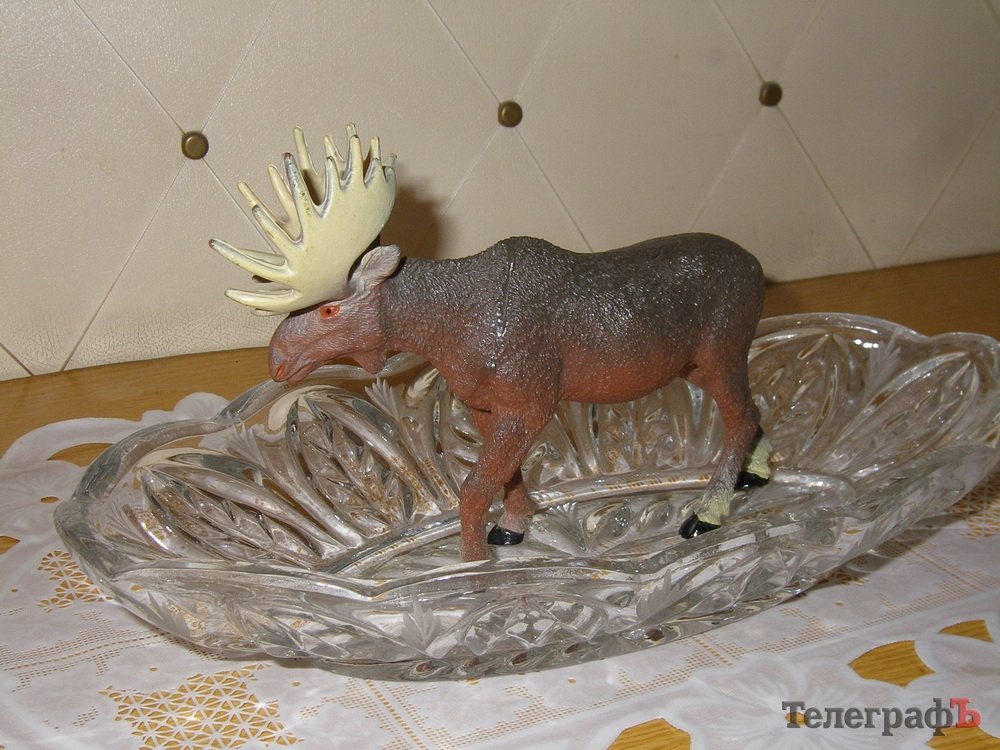 «Син сказав: мені соромно ходити по вулицях, коли хлопці гинуть... і пішов на війну» «Син сказав: мені соромно ходити по вулицях, коли хлопці гинуть... і пішов на війну»