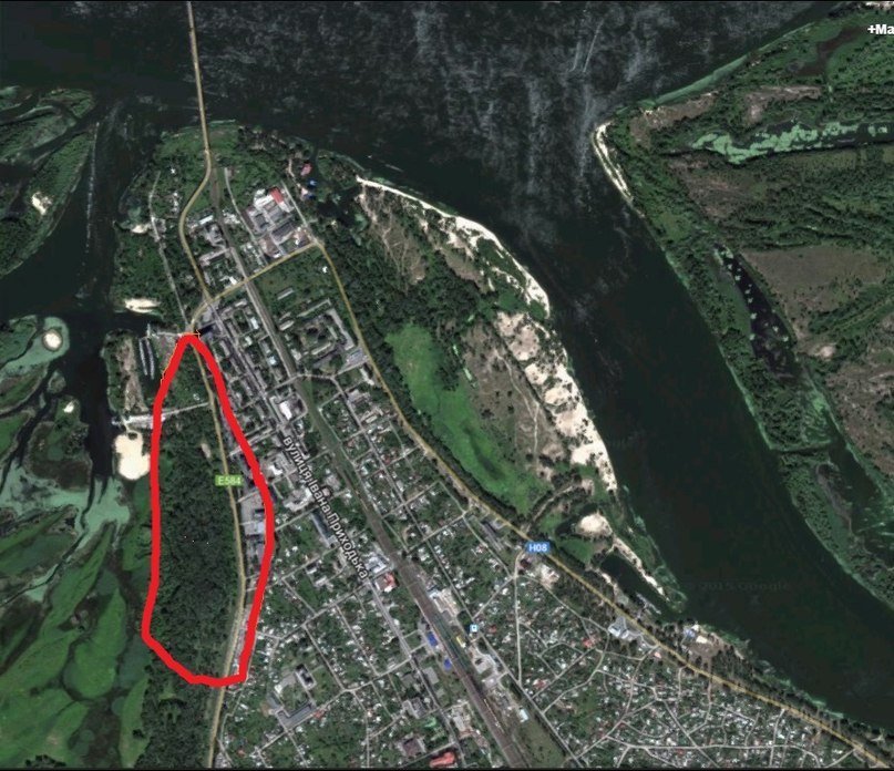 Сегодня крюковчане собираются сделать лес чистым Сегодня крюковчане собираются сделать лес чистым