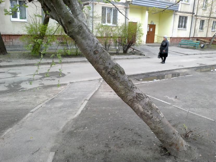 Где в Кременчуге можно увидеть крашеную траву Где в Кременчуге можно увидеть крашеную траву