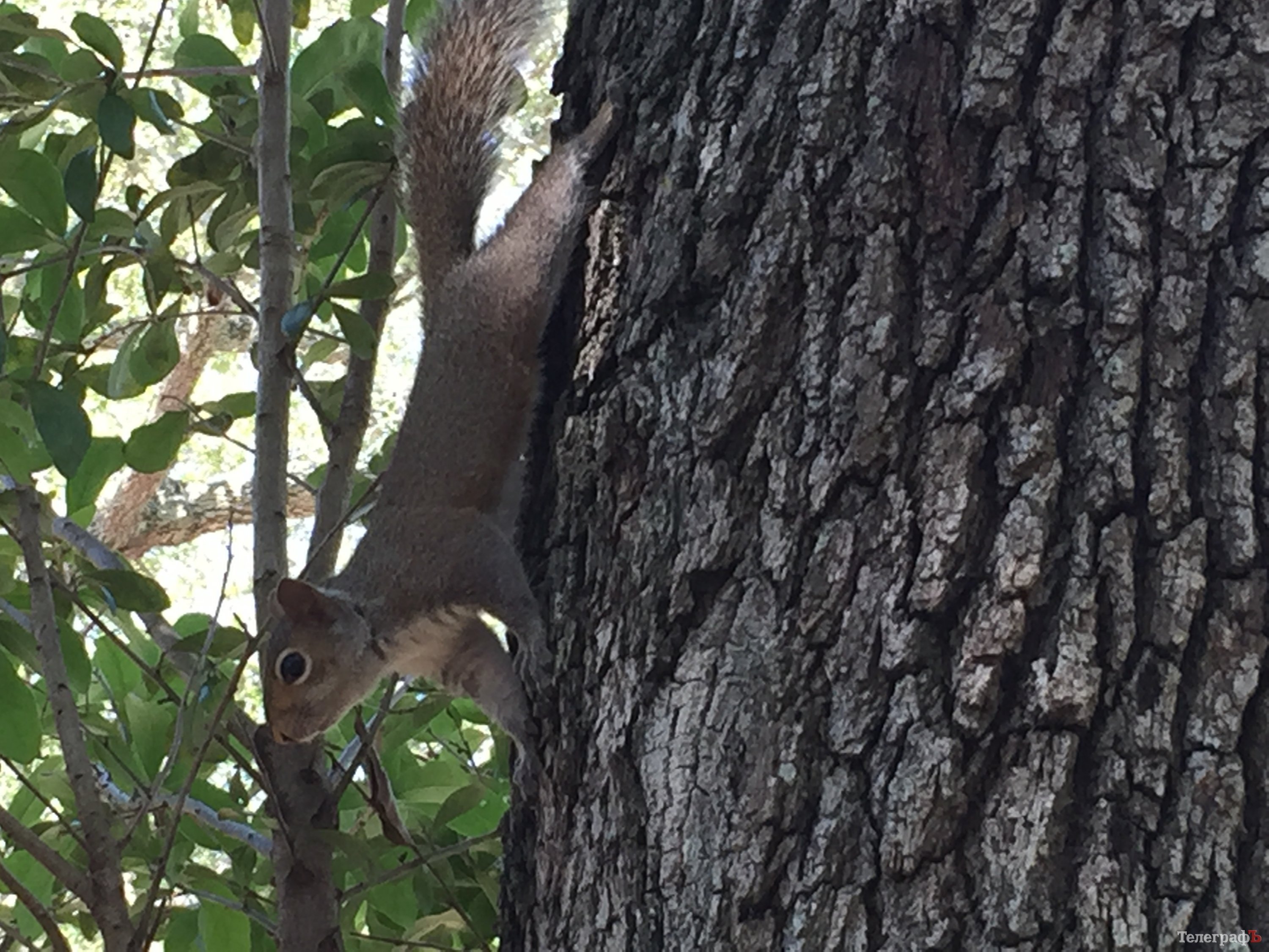 Путешествие с Сергеем Радченко: Майами Путешествие с Сергеем Радченко: Майами