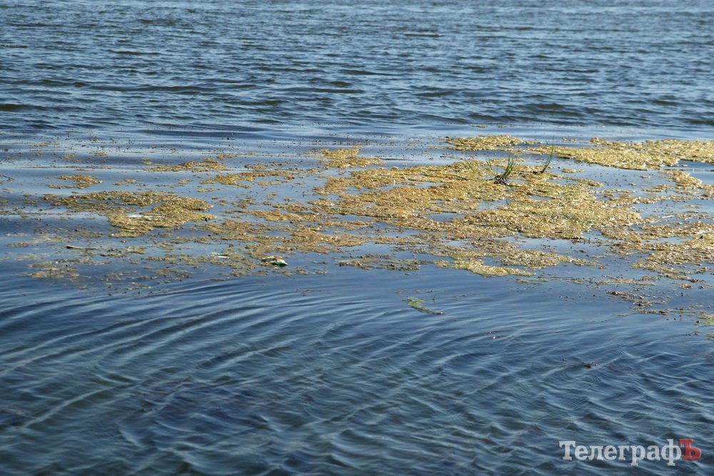 Рейд «Телеграфа» по пляжам города Рейд «Телеграфа» по пляжам города