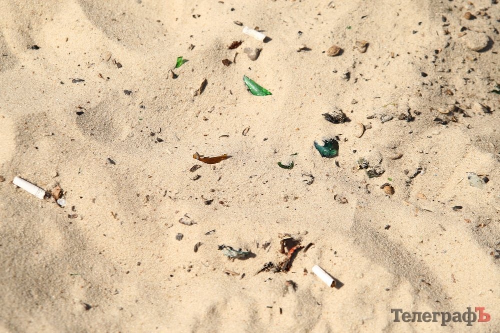 Рейд «Телеграфа» по пляжам города Рейд «Телеграфа» по пляжам города