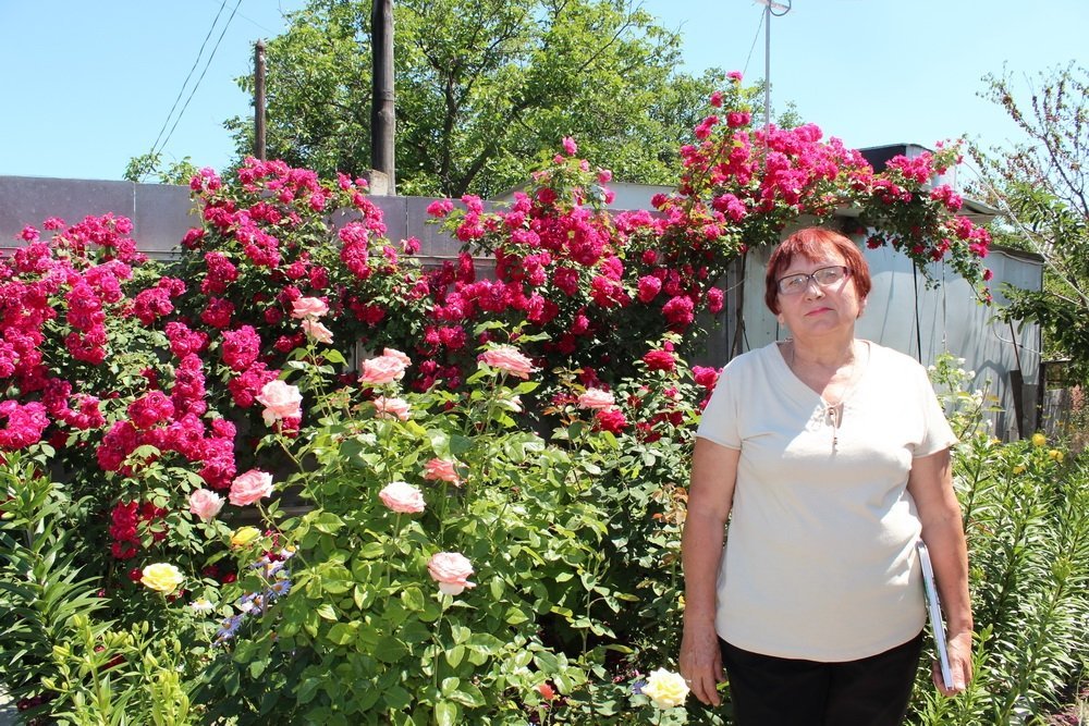 Маленький дендропарк на семи сотках Маленький дендропарк на семи сотках