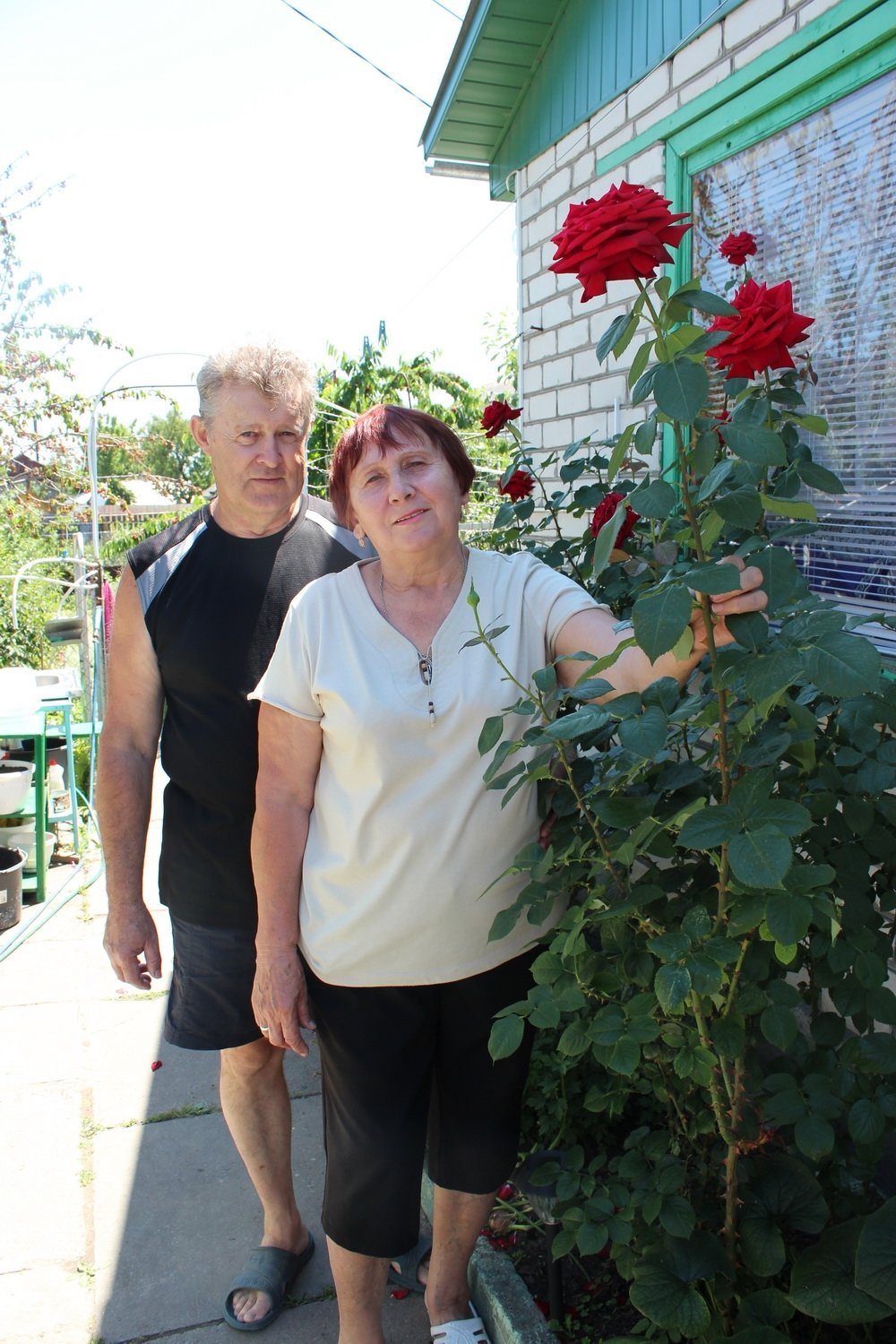 Маленький дендропарк на семи сотках Маленький дендропарк на семи сотках