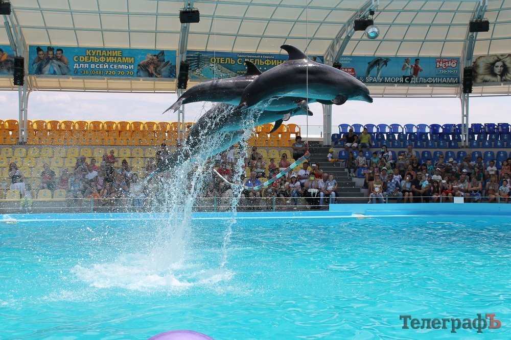 Путешествие с Юрием Глансковым: Одесса Путешествие с Юрием Глансковым: Одесса