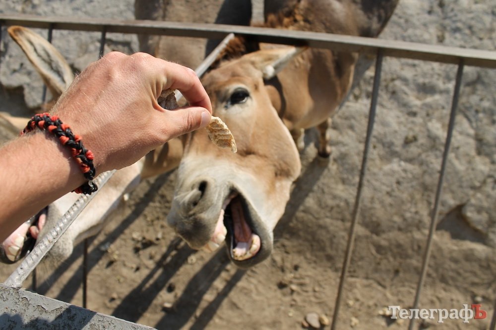 Путешествие с Юрием Глансковым: Одесса Путешествие с Юрием Глансковым: Одесса